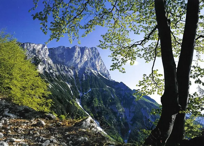 Im Souterrain Mit Terrasse *